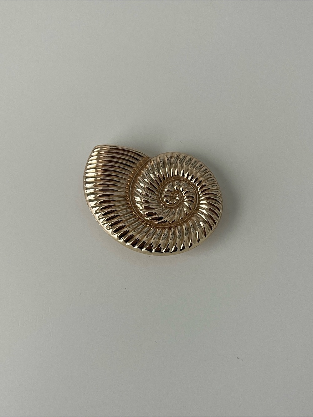 Seashell brooch